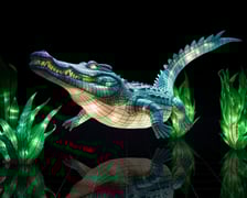 Garden of Lights - Ogród Świateł we wrocławskim ZOO. Wystawa "Dzika Azja". Wizualizacje wystawy