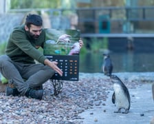 Pracownicy zoo z kalendarzem
