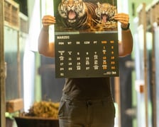 Pracownicy zoo z kalendarzem