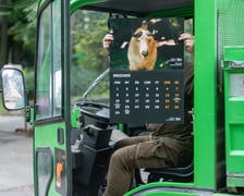 Pracownicy zoo z kalendarzem