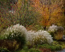<p>Arboretum Wojsławice jesienią</p>