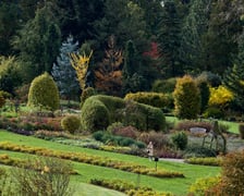 <p>Arboretum Wojsławice jesienią</p>