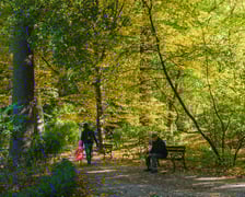 <p>Ogr&oacute;d Botaniczny w kolorach jesieni</p>