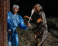 Diabelnie urocze zwierzęta ze schroniska polecają się do adopcji - niezwykła sesja na Halloween