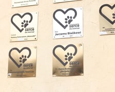 Wrocławskie Serce dla Zwierząt 2024 - uroczystość wręczenia nagród
