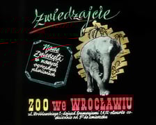 Slajdy reklamowe wrocławskiego zoo, lata 1957-1960