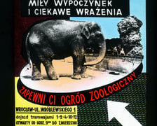 Slajdy reklamowe wrocławskiego zoo, lata 1957-1960