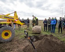 Sadzenie platanów przy Kosmonautów (27 listopada 2024 roku)