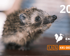 Kalendarze Ekostraży na 2025 rok