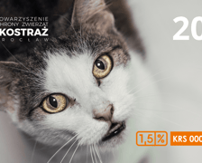 Kalendarze Ekostraży na 2025 rok