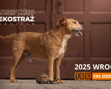 Kalendarze Ekostraży na 2025 rok