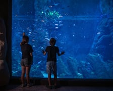 Afrykarium