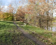 Park Średzki we Wrocławiu