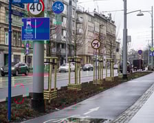 Nowe drzewa (klony polne, sztuk 43) przy Pomorskiej (grudzień 2024)