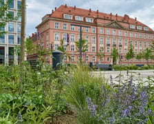 Plac Nowy Targ we Wrocławiu