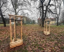 <h3>Park Węgrzynowskiego przy ul. Kolejowej</h3>
<p>Posadzone zostały tu dwa jesiony wyniosłe, trzy platany klonolistne oraz trzy robinie. A&nbsp;na ul. Legnickiej przybyły: klon polny elsrijk, brzoza papierowa i lipa srebrzysta.</p>