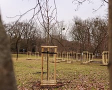 W Ogrodach Szczytnickich posadzono kilkadziesiąt lip drobnolistnych
