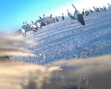<p>Zdjęcia zrobione przez bociana Fotografa w Izraelu za pomocą aparatu, w kt&oacute;ry wyposażono jego nadajnik</p>