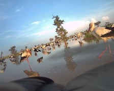 Zdjęcia zrobione przez bociana Fotografa w Sudanie za pomocą aparatu, w który wyposażono jego nadajnik