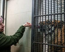 Ewelina Kliś dzięki wygranej aukcji na rzecz WOŚP spędziła dzień we wrocławskim zoo