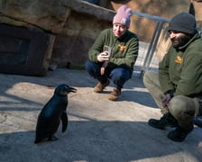 Ewelina Kliś dzięki wygranej aukcji na rzecz WOŚP spędziła dzień we wrocławskim zoo