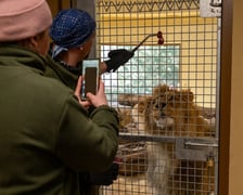 Ewelina Kliś dzięki wygranej aukcji na rzecz WOŚP spędziła dzień we wrocławskim zoo
