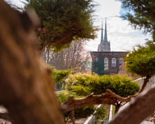 <p>Ogr&oacute;d Botaniczny Uniwersytetu Wrocławskiego otwiera się dla zwiedzających</p>