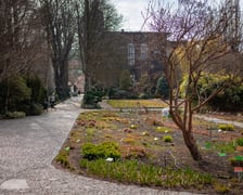 <p>Ogr&oacute;d Botaniczny Uniwersytetu Wrocławskiego otwiera się dla zwiedzających</p>