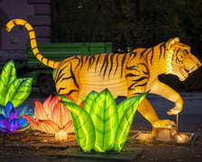 Garden of Lights – Dzika Azja
