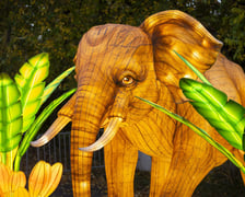 Wystawa Garden of Lights – Dzika Azja