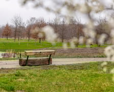 Park Krzycki