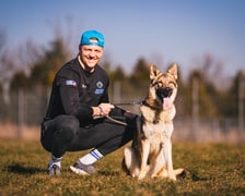 GROM, 1 rok - piesek w typie wilczka, wymaga dużej wiedzy na temat rasy. Bardzo miły i wylewny, będzie towarzyszem wielu aktywności.