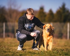 MAFIN, 6 lat - pozytywny i wesoły, uwielbia zabawę i świetnie dogaduje się z innymi zwierzakami.