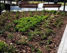 Plac wokół pomnika Chrobrego po remoncie, wrzesień 2025