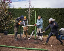 Festiwal Magnolii w Ogrodzie Botanicznym