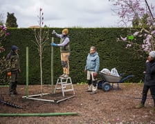 Festiwal Magnolii w Ogrodzie Botanicznym