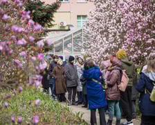 Festiwal Magnolii w Ogrodzie Botanicznym