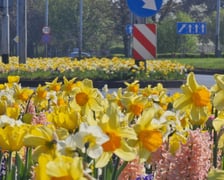 Ul. Brucknera i Bolesława Krzywoustego na Psim Polu
