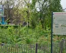 Wrocławski mikrolas Miyawaki - kwiecień 2025
