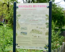 Wrocławski mikrolas Miyawaki - kwiecień 2025