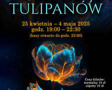 <p>Iluminacje tulipan&oacute;w nocą w Ogrodzie Botanicznym UWr</p>