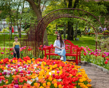 Tulipany w Ogrodzie Botanicznym