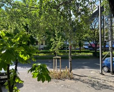 Wiosenne nasadzenia ZZM we Wrocławiu
