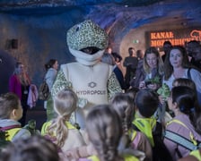 Z okazji Światowego Dnia Żółwia wrocławskie Hydropolis i ZOO Wrocław ogłosiły partnerstwo na rzecz środowiska i zagrożonych gatunków.