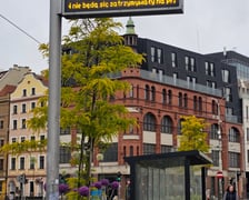 Zielony przystanek we Wrocławiu