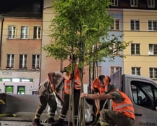 Zielony przystanek we Wrocławiu