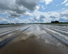 Zniszczenia na polach gospodarstwa rodziny Sznajderów pod Żmigrodem