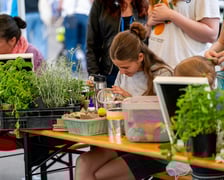 Ekologiczny Piknik Rodzinny Ekosystemu na terenie PSZOK przy ul. Szwajcarskiej