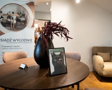 <p>Wystawa zdjęć zwierzak&oacute;w do adopcji w galerii wnętrz Domar przy ulicy Braniborskiej 14</p>