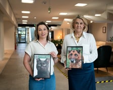 <p>Wystawa zdjęć zwierzak&oacute;w do adopcji w galerii wnętrz Domar przy ulicy Braniborskiej 14</p>